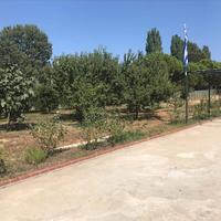 Другое в Греции, 161 кв.м.