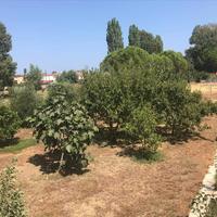 Другое в Греции, 161 кв.м.