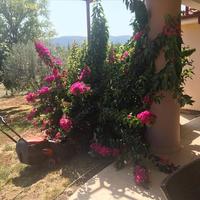 Другое в Греции, 161 кв.м.