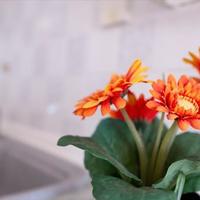 Таунхаус в Греции, 75 кв.м.