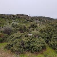 Земельный участок в Греции