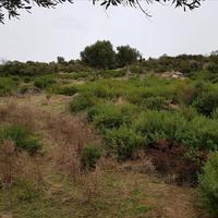 Земельный участок в Греции