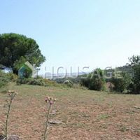 Villa in Italy, Grosseto, 450 sq.m.