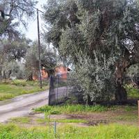 Другое в Греции, 112 кв.м.