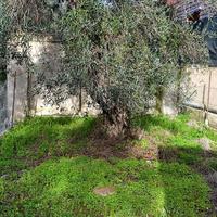 Другое в Греции, 112 кв.м.