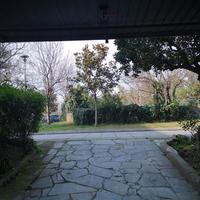 Business center in Greece, 41 sq.m.