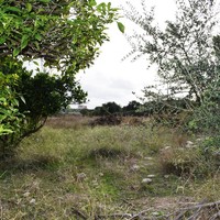 Land plot in Greece