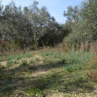 Земельный участок в Греции