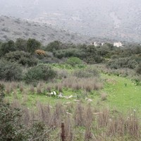 Land plot in Greece
