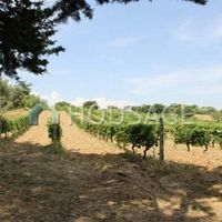 Villa in Italy, Grosseto