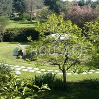 Villa in Italy, Grosseto