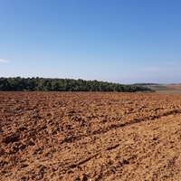 Land plot in Greece
