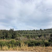 Land plot in Greece