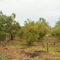 Другое в Греции, 250 кв.м.