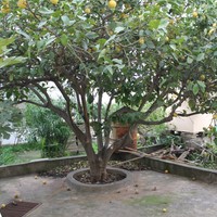 Другое в Греции, 62 кв.м.