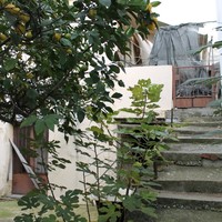 Другое в Греции, 62 кв.м.