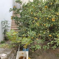 Другое в Греции, 62 кв.м.