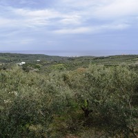 Land plot in Greece