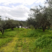 Land plot in Greece