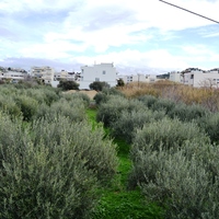 Business center in Greece