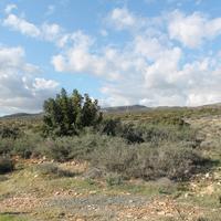 Land plot in Republic of Cyprus, 3900 sq.m.