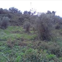 Land plot in Greece