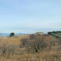 Land plot in Greece, 500 sq.m.