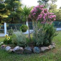 Other in Greece, 78 sq.m.