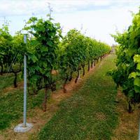 Вилла в Греции, 250 кв.м.