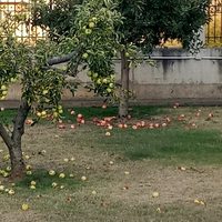 Вилла в Греции, 250 кв.м.