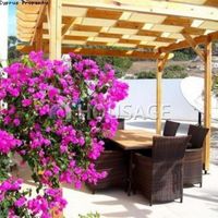 Вилла на Кипре, Пафос, 265 кв.м.