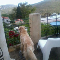 Other in Greece, 80 sq.m.