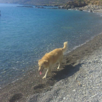 Other in Greece, 80 sq.m.