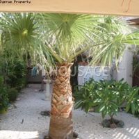 Вилла на Кипре, Пафос, 190 кв.м.