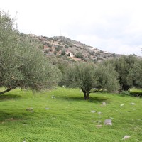 Земельный участок в Греции