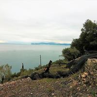 Земельный участок в Греции