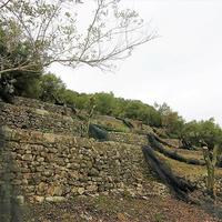 Земельный участок в Греции