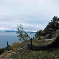 Земельный участок в Греции