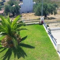 Land plot in Greece, 1000 sq.m.