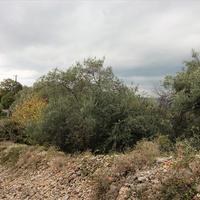 Land plot in Greece