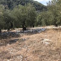 Land plot in Greece