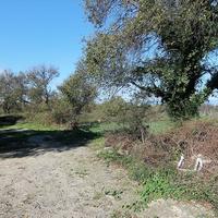 Land plot in Greece