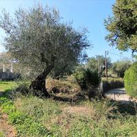 Other in Greece, 300 sq.m.