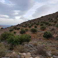 Земельный участок в Греции