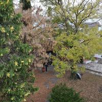 Other in Greece, 350 sq.m.