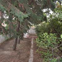 Other in Greece, 350 sq.m.