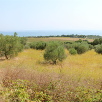 Land plot in Greece