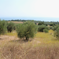 Land plot in Greece