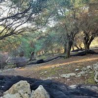 Land plot in Greece, 152 sq.m.