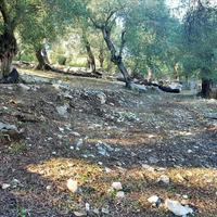 Land plot in Greece, 152 sq.m.